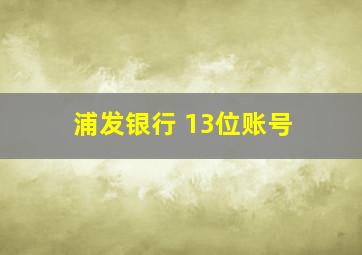 浦发银行 13位账号